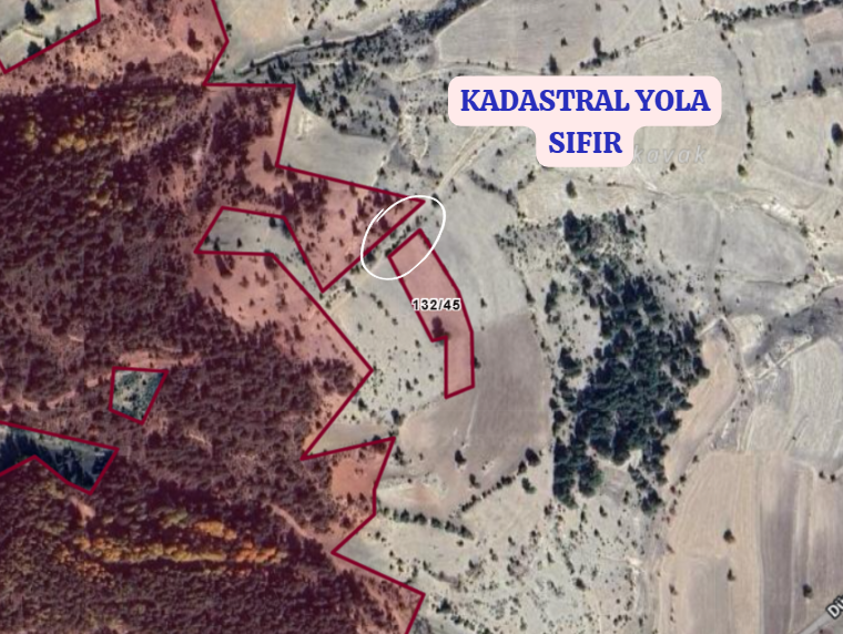 KÜTAHYA EMET DÜŞECEK   KÖYÜNDE 3.324 M² TARLA  SATILIKTIR - KÜTAHYA EMET fotoğraf 3