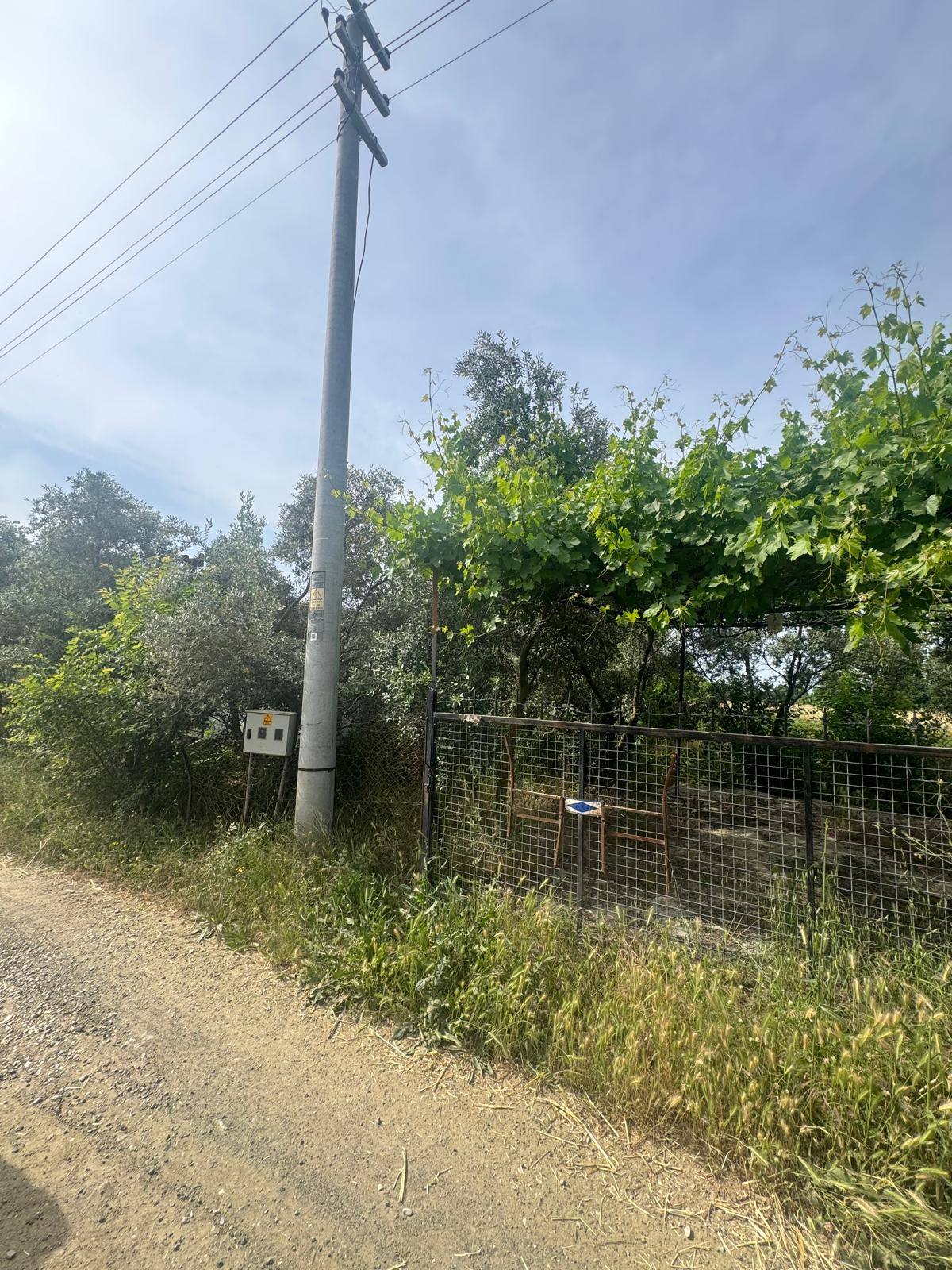Zeytin ve meyve bahçesi 1+1 prefabrik daire - MUĞLA SEYDİKEMER fotoğraf 5