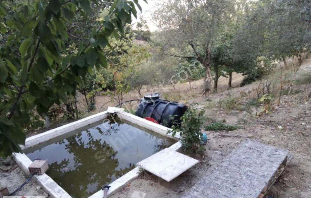 Yeliz'den Manisa Soma'da Merkeze Yakın Hobi Bahçesi - MANİSA SOMA fotoğraf 5
