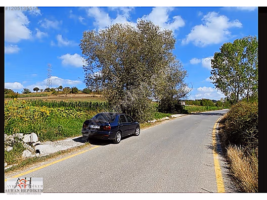 AYHAN HEPDİKER DEN SALMANLIDA ASVALT YOLA CEPHELİ 1.377m2 TARLA - SAKARYA ADAPAZARI fotoğraf 18