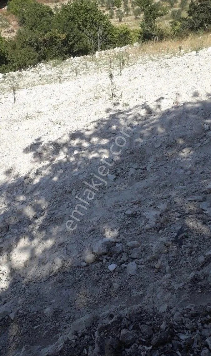 Yeliz'den Manisa Soma Göktaş'da Yatırımlık Arazi - MANİSA SOMA fotoğraf 2