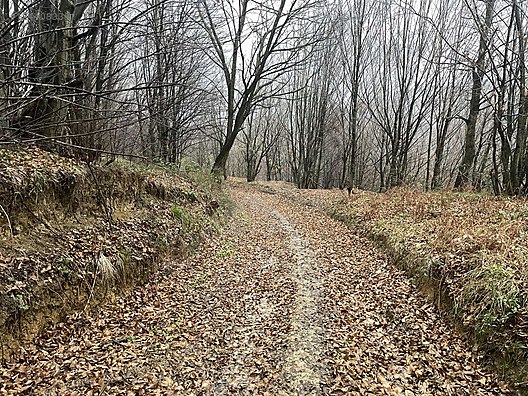 KOCAELİ İZMİT  ORTABURUN   MAHALLESİNDE 3.788 M²  TARLA  SATILIKTIR - KOCAELİ İZMİT fotoğraf 8