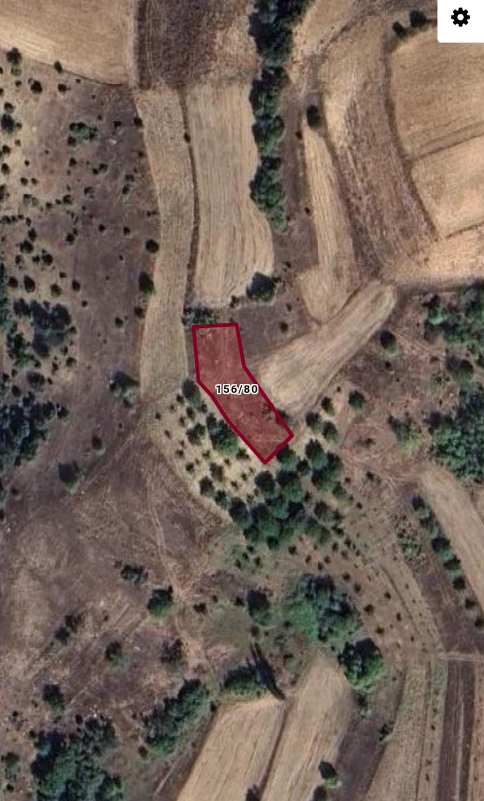  BİLECİK GÖLPAZARI ARMUTÇUK KÖYÜ 864,56M² TARLAMIZ SATILIK - BİLECİK GÖLPAZARI fotoğraf 4