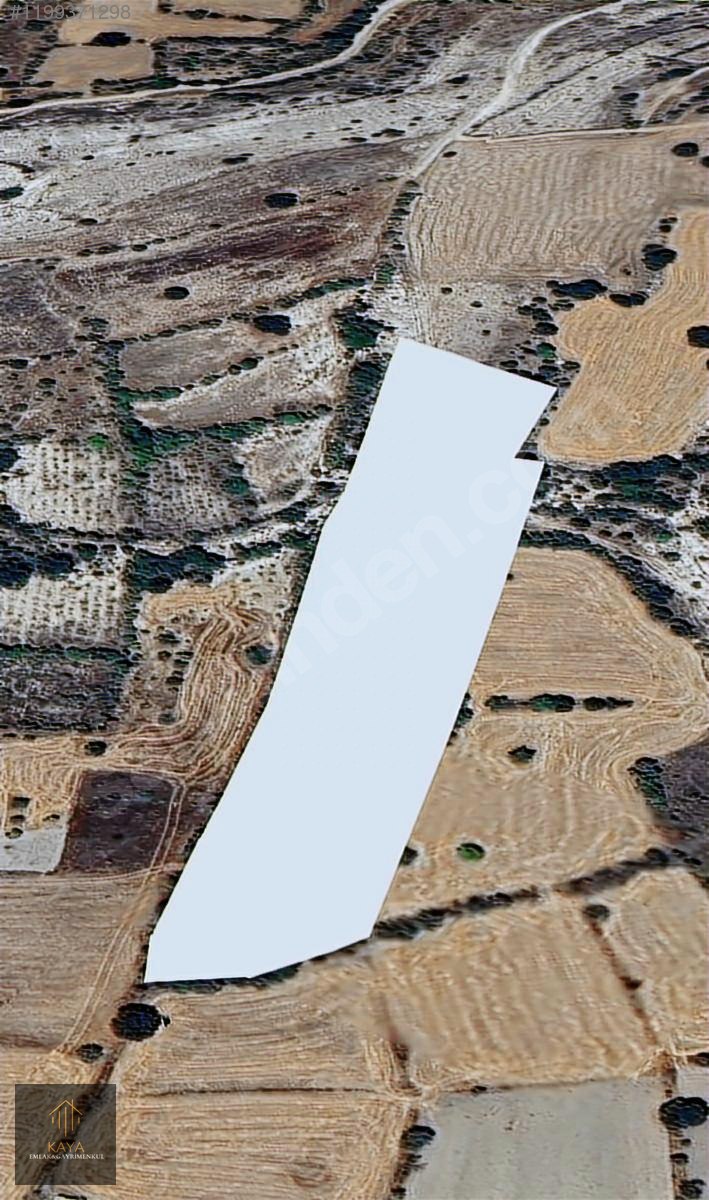 YEŞİLDERE'DE SATILIK FIRSAT TARLA - UŞAK MERKEZ fotoğraf 10