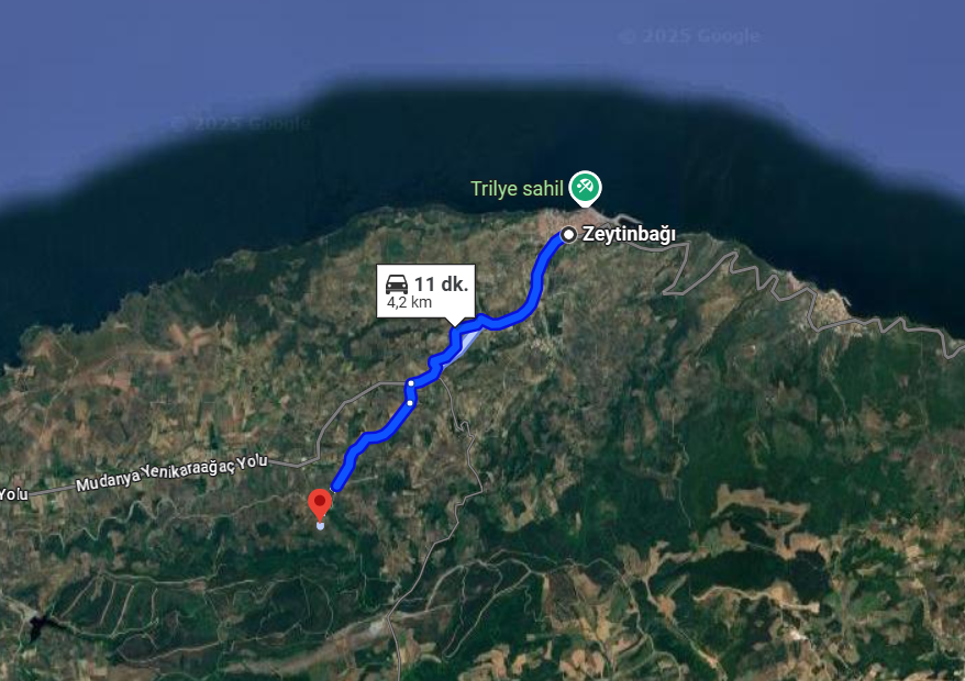 BURSA MUDANYA TİRİLYE (TALATBEY)  KÖYÜNDE 1.074 M²  ZEYTİNLİK SATILIKTIR - BURSA MUDANYA fotoğraf 6