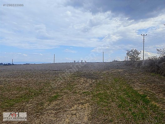 ADAPAZARI SALMANLI MERKEZDE 6074 M2 YOLA BİR PARSEL HARİKA TARLA - SAKARYA ADAPAZARI fotoğraf 14