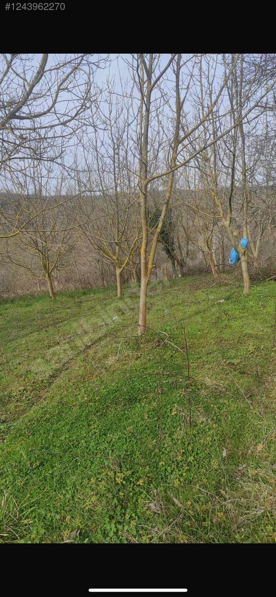Villa İmarlı Arsa - KOCAELİ İZMİT fotoğraf 2
