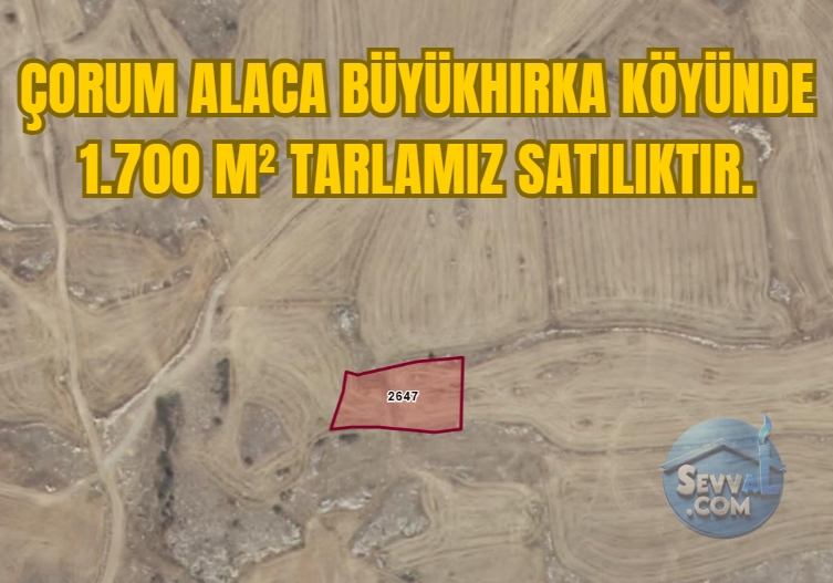 ÇORUM ALACA BÜYÜKHIRKA KÖYÜNDE 1.700 M² TARLAMIZ SATILIKTIR. - Çorum Alaca fotoğraf 5