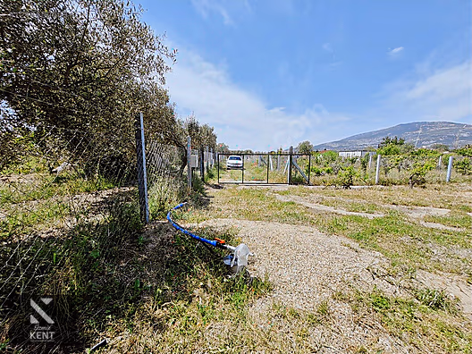 Kemalpaşa Armutlu Satılık 1120 m2 Bahçe - İZMİR KEMALPAŞA fotoğraf 29