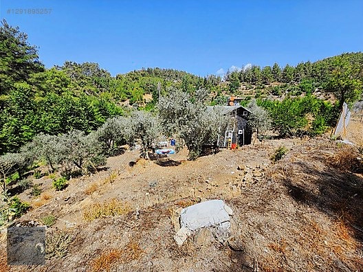 AHIRTAŞ'TA ORMANA SIFIR 4.065 m² TEK TAPU TARLA VE AHŞAP EV İLE - ANTALYA DÖŞEMEALTI fotoğraf 5