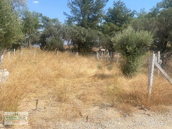 Hortuna emlaktan torbalı çapak mahallesinde satılık tarla - İZMİR TORBALI fotoğraf 3