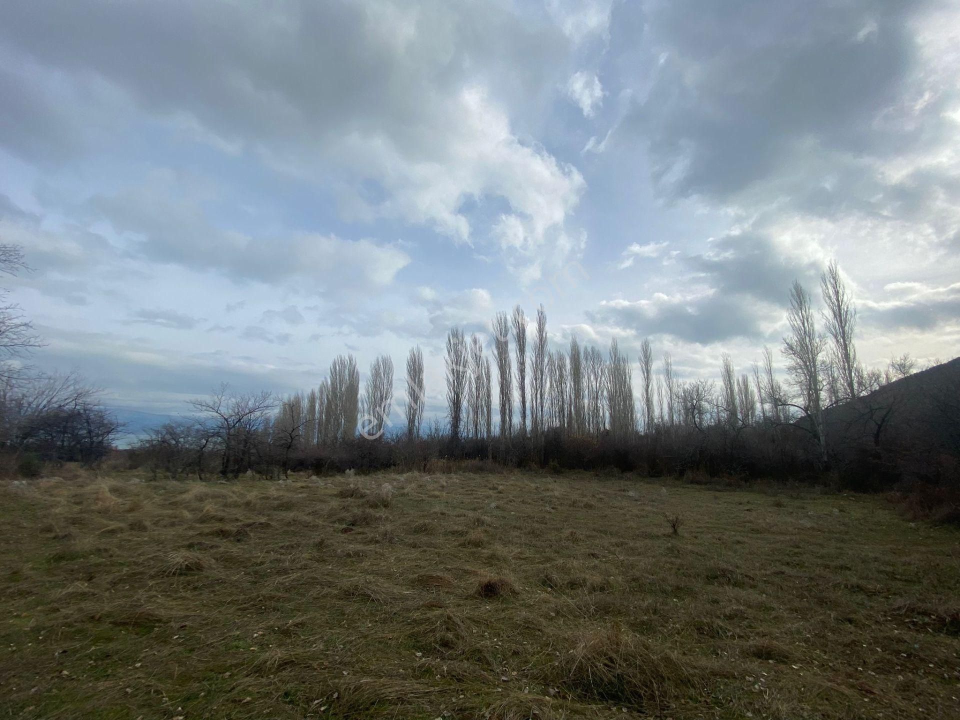 Isparta Eğirdir Bağören Satılık Göl Manzaralı Arazi - ISPARTA EĞİRDİR fotoğraf 2