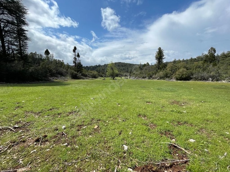 Antalya  Kaş  Hacıoğlan Mahallesinde 500 m² SATILIK ARSA  - ANTALYA KAŞ fotoğraf 3