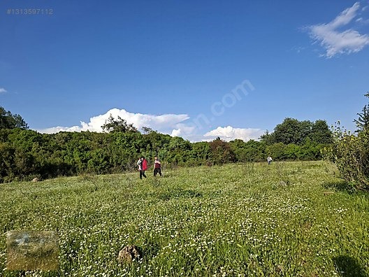 tek tapu satılık tarla - ANTALYA AKSU fotoğraf 8