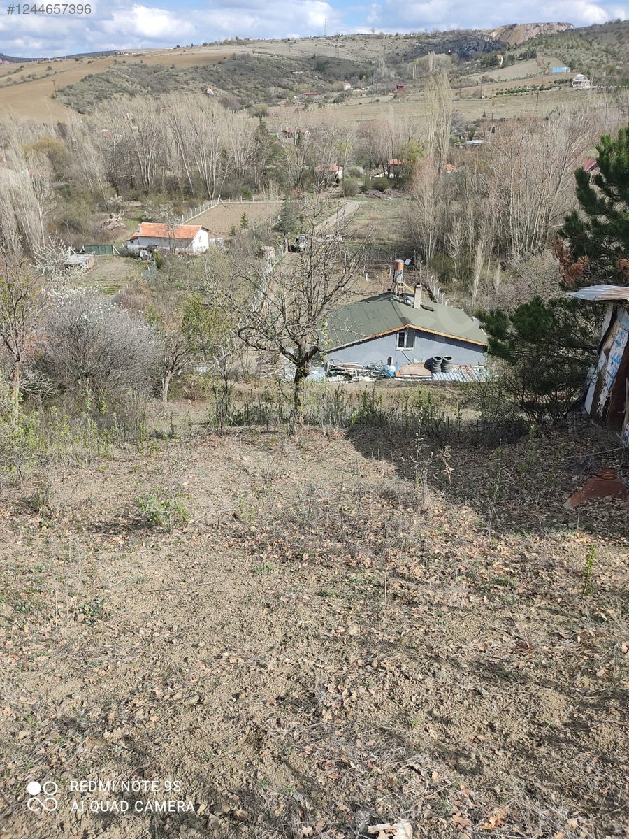 ANKARA ELMADAĞ TATLICA KÖYÜNDE 627 M² BAHÇEMİZ SATILIKTIR. - ANKARA ELMADAĞ fotoğraf 10