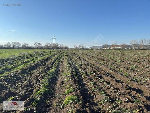 KAVAKLI ÇİFT TARAFI YOL 5.125 M2 YATIRIMLIK ARAZİ - BURSA MUSTAFAKEMALPAŞA fotoğraf 9