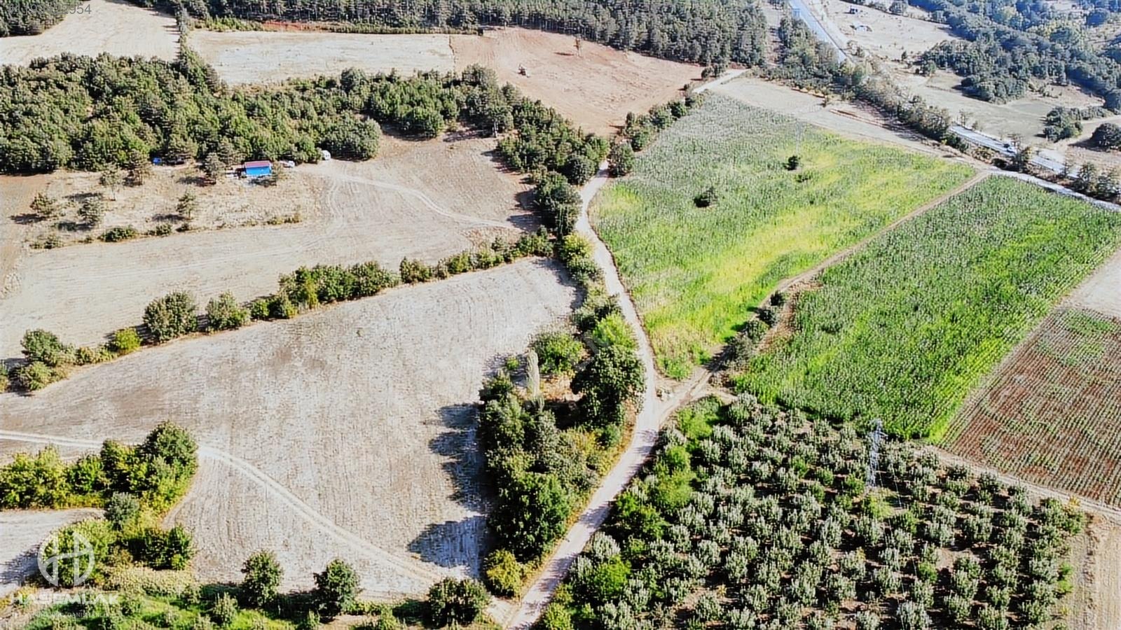 BÖLGE UZMANI HAS EMLAK tan EMSALSİZ ARAZİ - BURSA KESTEL fotoğraf 11