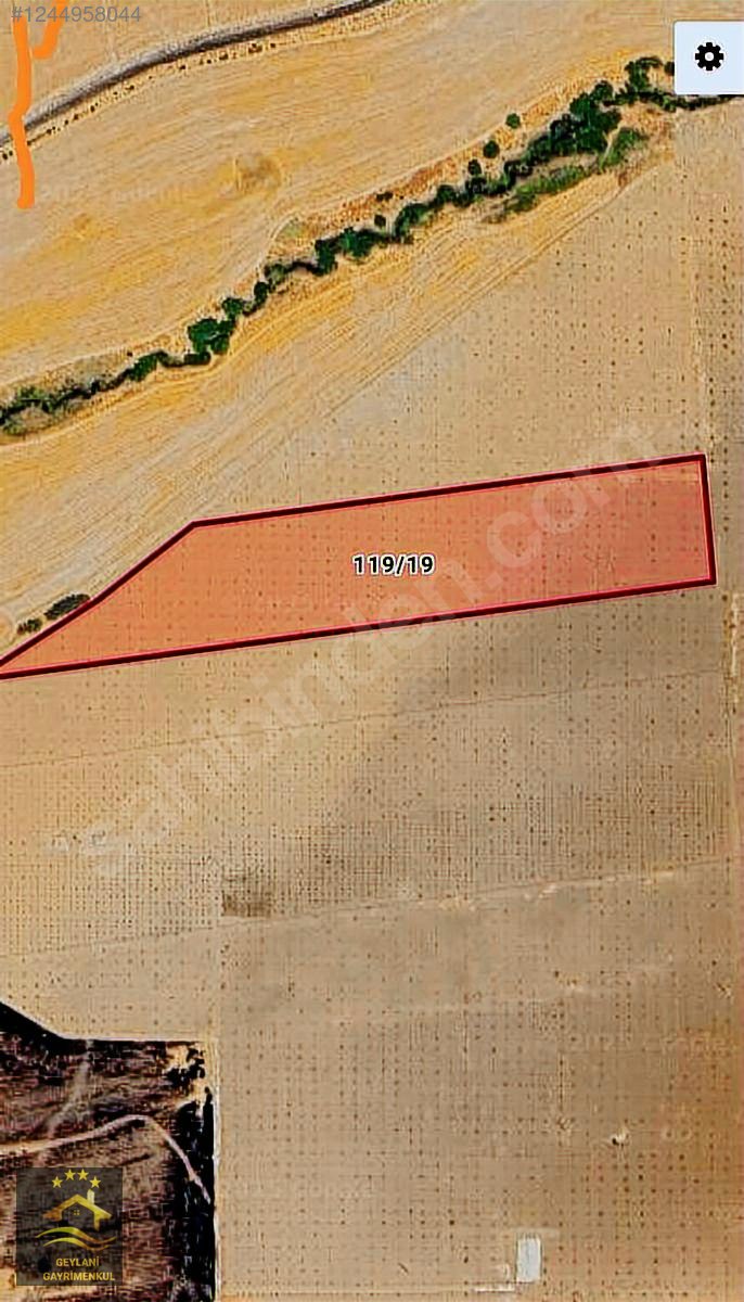 Karaköprü Pınarbaşı Akziyaret Toplu Projelere Uygun Fıstıklık - ŞANLIURFA KARAKÖPRÜ fotoğraf 4