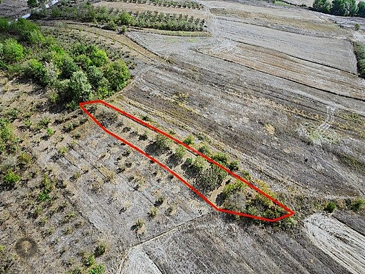 KÖYÜN DİBİNDE RESMİ YOLLU HOBİ BAHÇELİK HARİKA FIRSAT TARLAAA - KOCAELİ KANDIRA fotoğraf 2