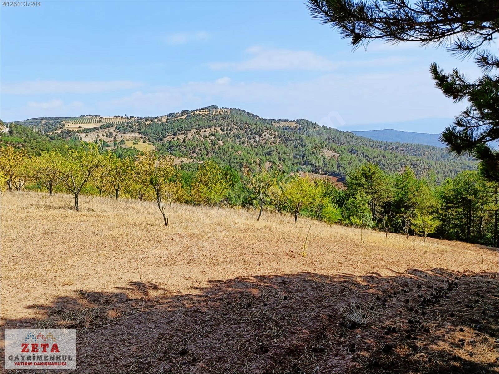 Sakarya Taraklı'da Manzaralı 5.291 m² Hobi Bahçesi/Yatırımlık - SAKARYA TARAKLI fotoğraf 5