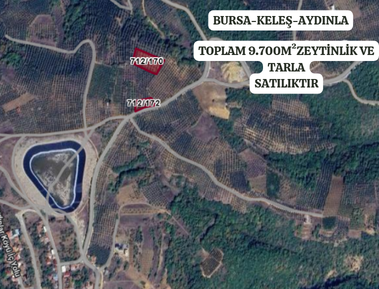 BURSA İZNİK AYDINLAR'DA TOPLAM 9.700  M²  ZEYTİNLİK VE TARLA  SATILIKTIR - BURSA İZNİK fotoğraf 2