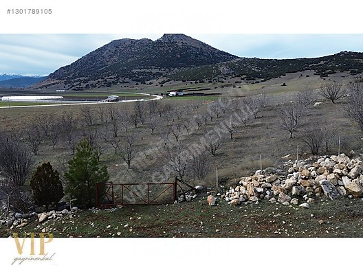 VİP GAYRİMENKUL'den KIŞLA MAH. 4.160m² CEVİZ BAHÇESİ - ANTALYA ELMALI fotoğraf 6