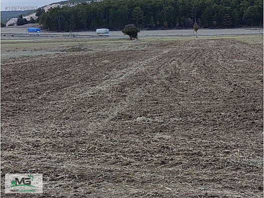 KÜTAHYA ALTINTAŞ PINARCIK FIRSAT ÜRÜNÜMÜZ TARLA BAHÇE BAĞ - KÜTAHYA ALTINTAŞ fotoğraf 12
