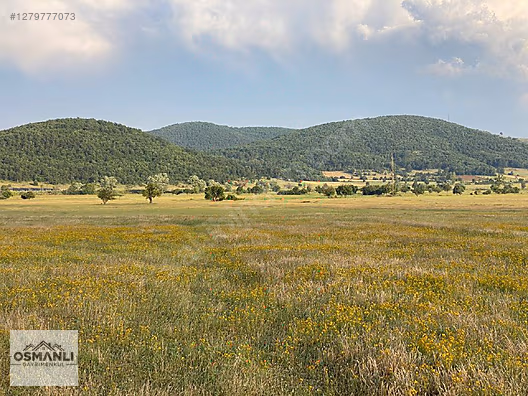 HİSARCIK'TA 4.675 M2 KÖŞE PARSEL YATIRIM FIRSATI - BİLECİK OSMANELİ fotoğraf 17