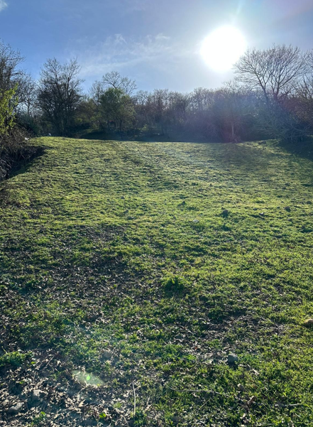 BALIKESİR ALTIEYLÜL DEDEBURNU   KÖYÜNDE 1.969  M²  TARLA  SATILIKTIR - BALIKESİR ALTIEYLÜL fotoğraf 12