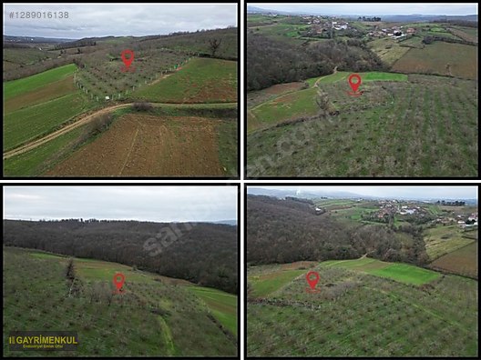 Ferizli Hocaoğlu'nda Satılık 2400 m² Fındık Bahçesi - SAKARYA FERİZLİ fotoğraf 43