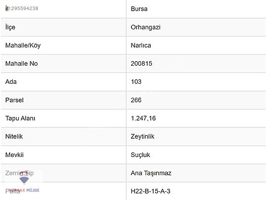 BURSA ORHANGAZİ NARLICA MAH. 1.247 M2 SATILIK ZEYTİNLİK - BURSA ORHANGAZİ fotoğraf 12