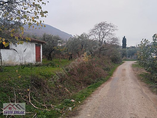 Orhangazi Gemiç Köyü Mahallesi köy içi arsa - BURSA ORHANGAZİ fotoğraf 6