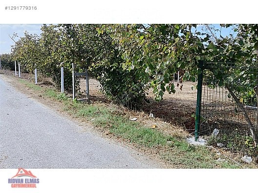 SAKARYA KAYNARCA SATILIK ARSA - SAKARYA KAYNARCA fotoğraf 10