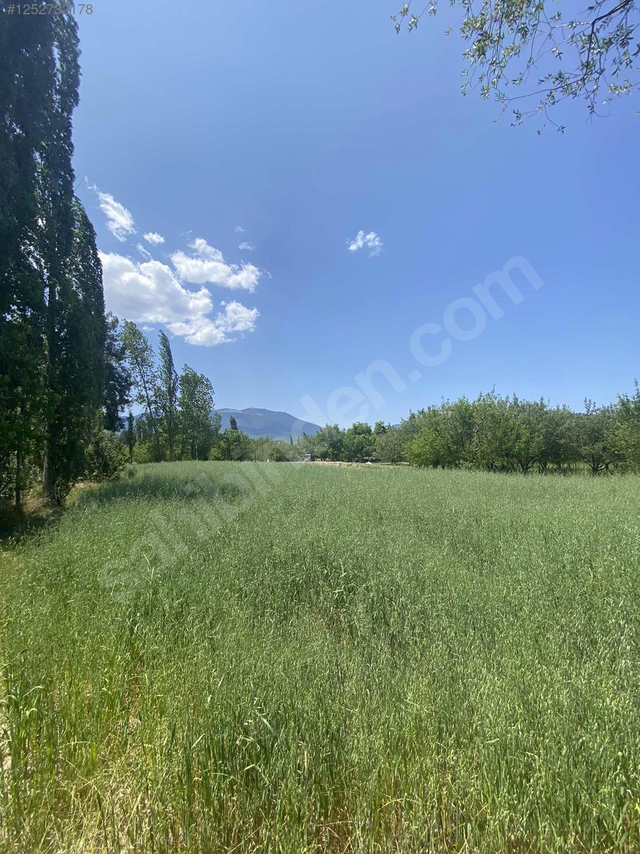 Antalya / Kaş / Yaylapalamut Mahallesinde 1.299 m² SATILIK ARSA  - ANTALYA KAŞ fotoğraf 4