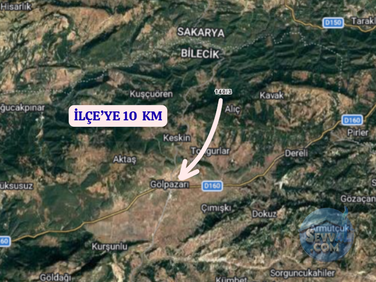 BİLECİK GÖLPAZARI ALIÇ  KÖYÜNDE  26 M²  AHŞAP SAMANLIK  SATILIKTIR - BİLECİK GÖLPAZARI fotoğraf 6