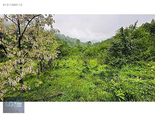 14 DÖNÜM TEK TAPU - BARTIN MERKEZ fotoğraf 19