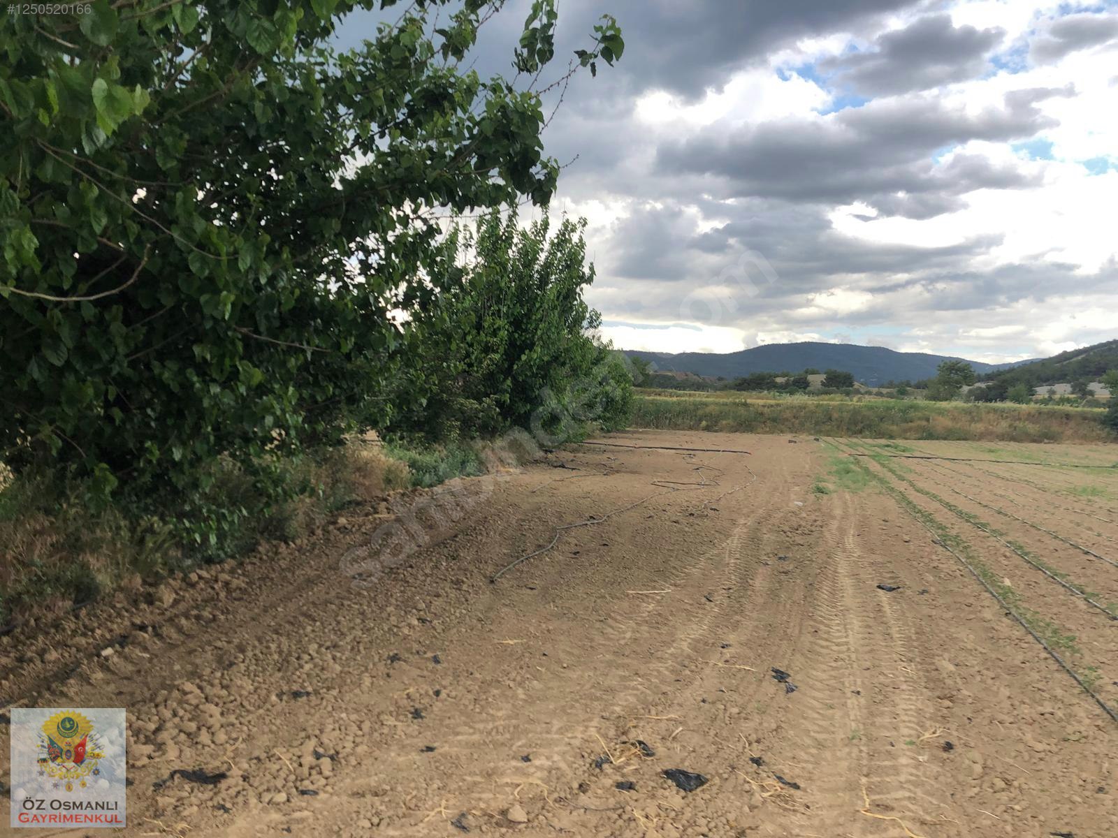 600 M2 NEHİR KENARI RESMİ YOLU OLAN MERKEZE YAKIN TARLA - BİLECİK OSMANELİ fotoğraf 2