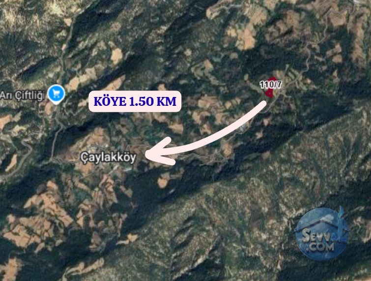 BOLU GÖYNÜK ÇAYLAK  KÖYÜNDE  8.247 M²  TARLA  SATILIKTIR - BOLU GÖYNÜK fotoğraf 5
