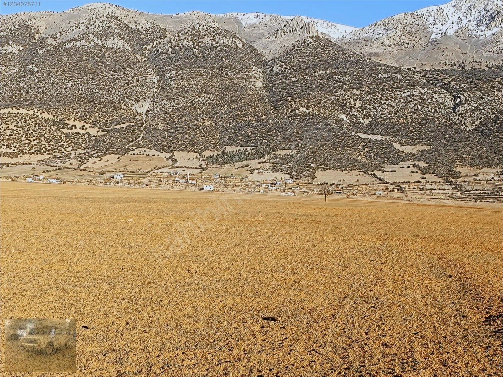 acil satılıkYazır a komşu olan imecik'te 950mtek tapuyer acildir - ANTALYA KORKUTELİ fotoğraf 28