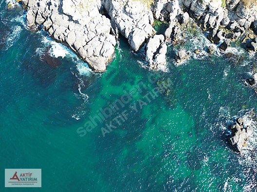 BAĞIRGANLI'DA ARKASI ORMAN ÖNÜ DENİZ 1093 M2 EŞSİZ SATILIK HİSSE - KOCAELİ KANDIRA fotoğraf 5