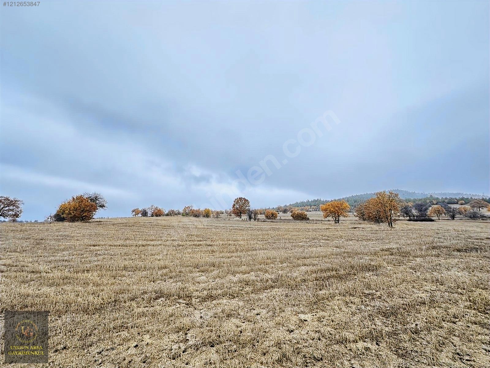 BOLU GÖYNÜK KARAARDIÇ'TA 4.921 M2 UYGUN ARSA - BOLU GÖYNÜK fotoğraf 24