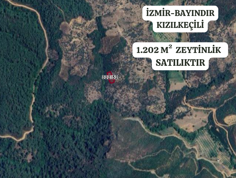 İZMİR BAYINDIR KIZILKEÇİLİ  KÖYÜNDE 1.202  M² ZEYTİNLİK  SATILIKTIR - İZMİR BAYINDIR fotoğraf 2
