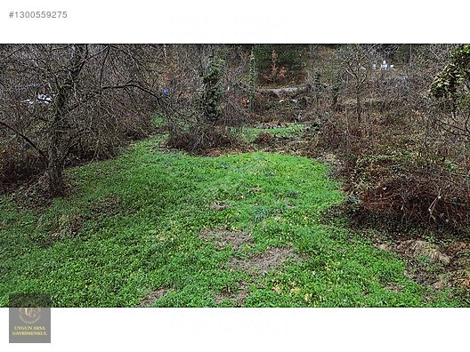 KASTAMONU KÜRE GÜLLÜCE 'DE KÖY İÇİNDE 798 M2 İMARLI UYGUN ARSA - KASTAMONU KÜRE fotoğraf 10