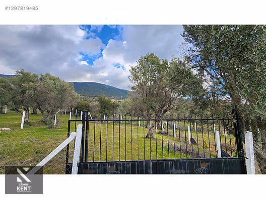 Kemalpaşa Sütçüler Satılık 331 m2 Bahçe - İZMİR KEMALPAŞA fotoğraf 29