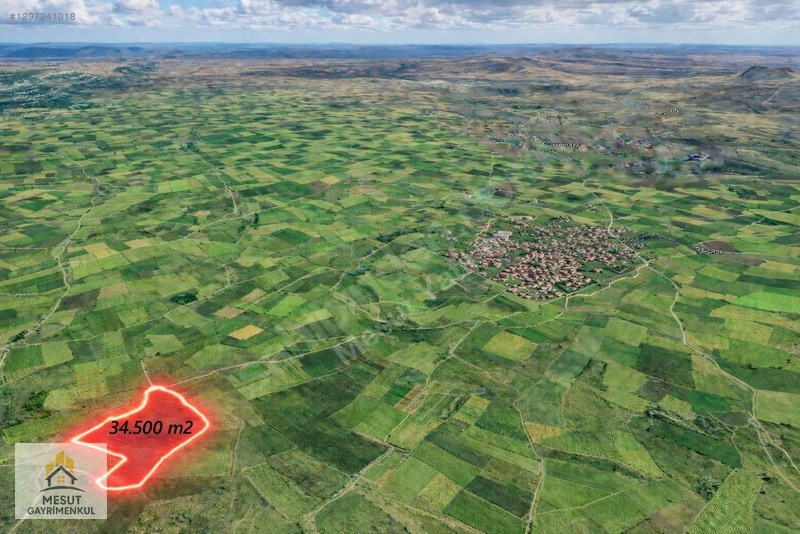 Bekilli Yeşiloba 34.500m² Tek Tapu, Yola Cepheli Satılık Tarla - DENİZLİ BEKİLLİ fotoğraf 3