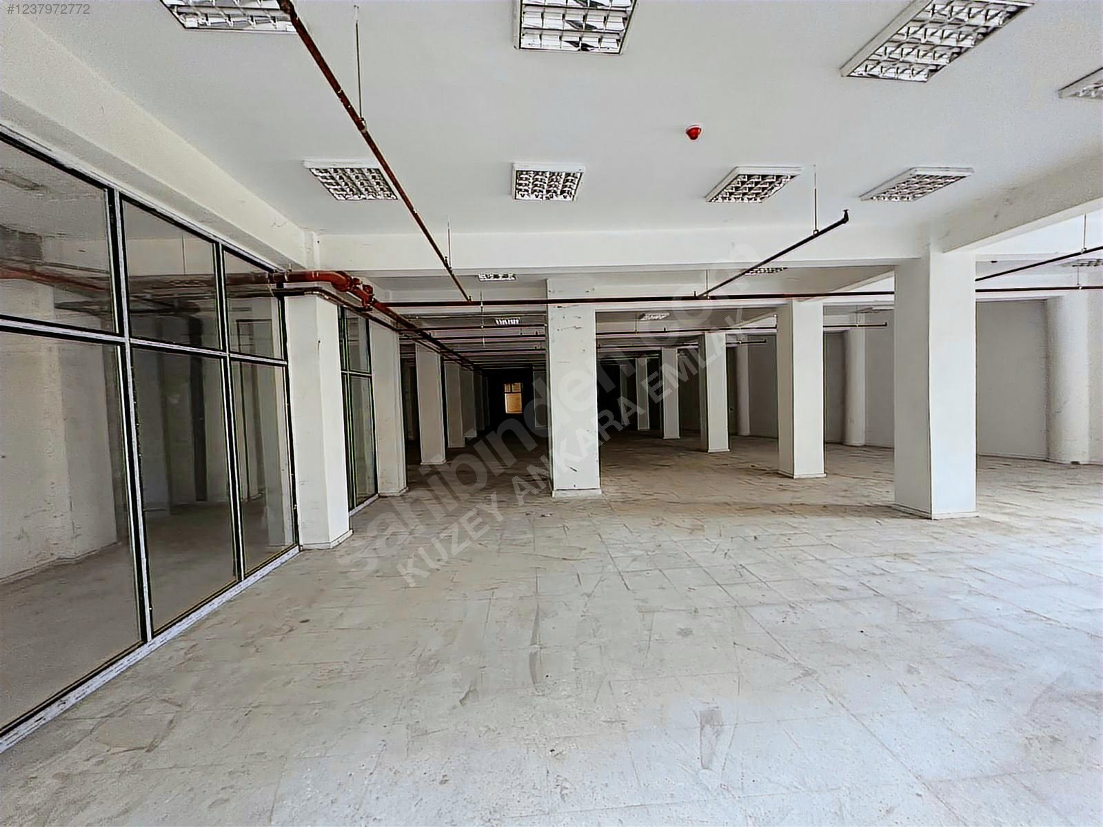 EYYUBİYE YENİCE 500M2 MUAZZAM GENİŞLİK HERİŞ KOLUNA UYGUN İŞYERİ - ŞANLIURFA EYYÜBİYE fotoğraf 15