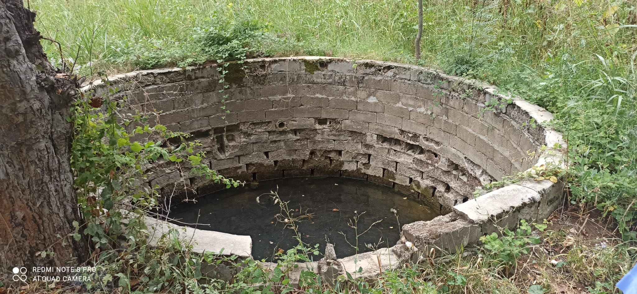 SATLIK TARLA SUYU İÇİNDE - BİLECİK MERKEZ fotoğraf 9