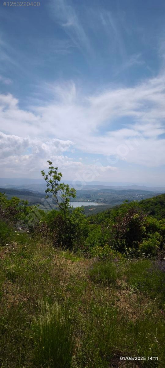 BURSA MUDANYA KAYMAKOBA KÖYÜNDE 537 M TARLA SATILIKTIR - BURSA MUDANYA fotoğraf 18