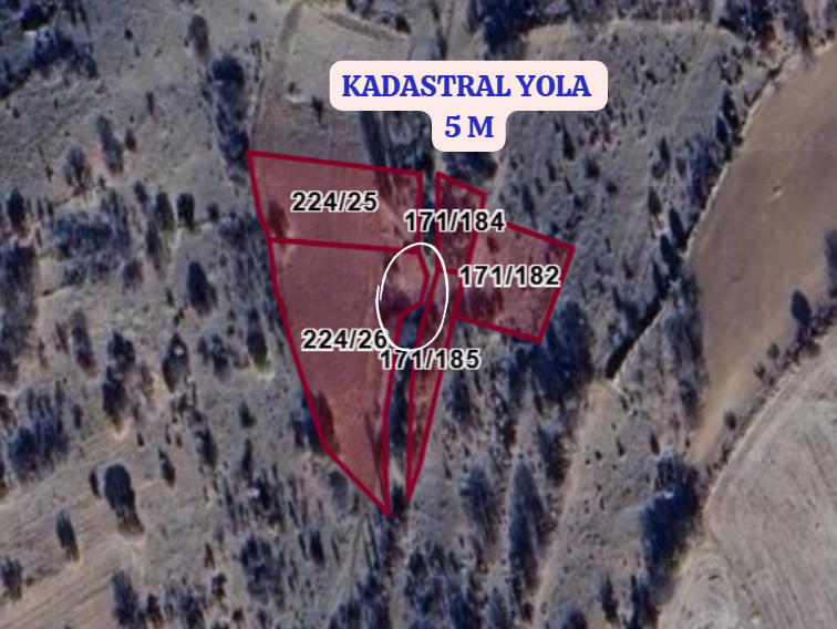 KONYA ÇUMRA AFŞAR   KÖYÜNDE  689 M²  TARLA  SATILIKTIR - KONYA ÇUMRA fotoğraf 3