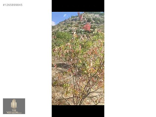 DÜMDÜZ RESMİ YOLU VAR SULAMA KANALI VAR . - UŞAK KARAHALLI fotoğraf 11